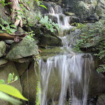 Pond Paradise Designs assorted photos