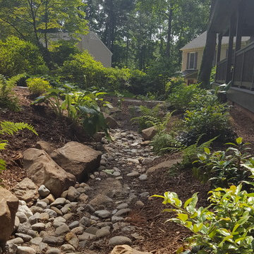 Hofelt Front Drainage and Rain Gardens