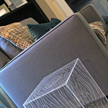 Crosswinds Transitional Living Room-Creve Coeur