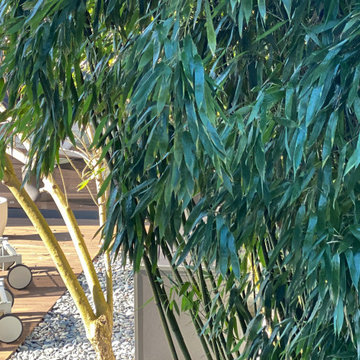 Privathaus I Nähe Karlsruhe