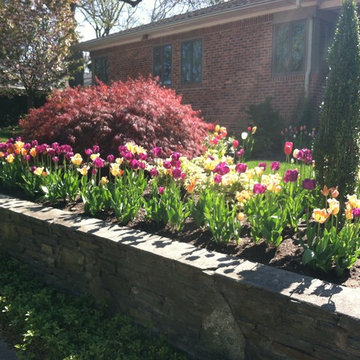 spring flowers