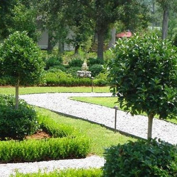 Back Landscaping