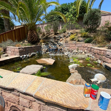 Turtle Pond with Beach and Wetland Filter