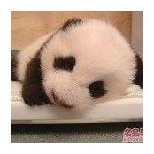 Charles Zhou's photo