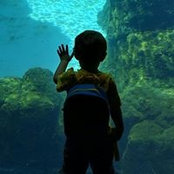 Anthony Barrios's photo