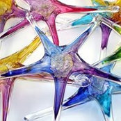 Luke Adams Glass's photo