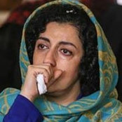 Saeid Vafa's photo