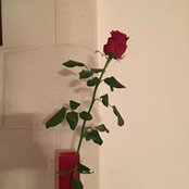 Corinne Travert's photo