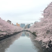 Yamao's photo