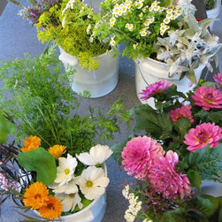 Flora Verdura - Products