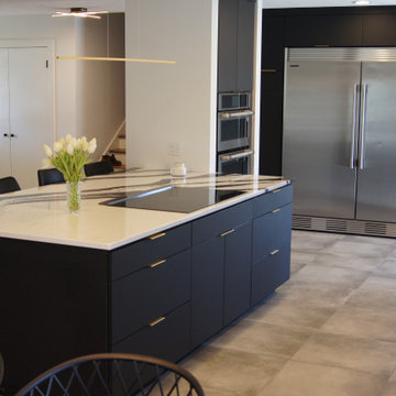 District 66 Kitchen Remodel