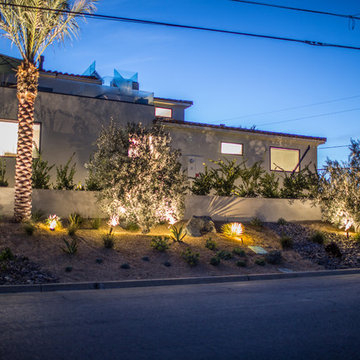 Eco-Friendly Curbside Landscaping in La Jolla