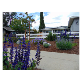 Park Ridge - Landscape - San Francisco - by Taproot Garden Design | Houzz
