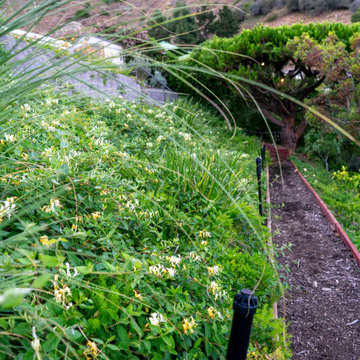 Pacific Palisades Hillside Serenity