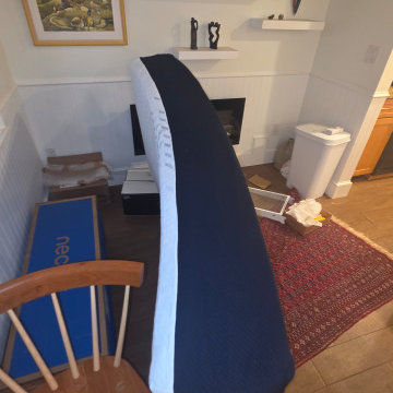 Mold Removal