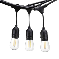 120V Commercial Outdoor Dimmable LED Light String, 15 Bulb / 49' Length