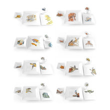 dinnerware