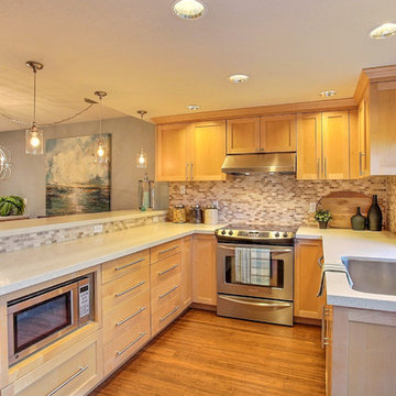 Updated Contemporary Kitchen