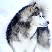 Florence Nony's photo