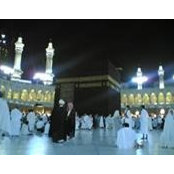 Tamer Bedewi's photo