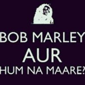 Divik Singhal's photo