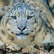 Jen Holmes's photo