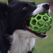 Tabatha Veary's photo