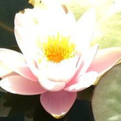 Janice Skinner's photo