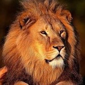 Foto von Arleen King