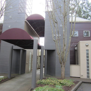 Walkway entry layered canopies