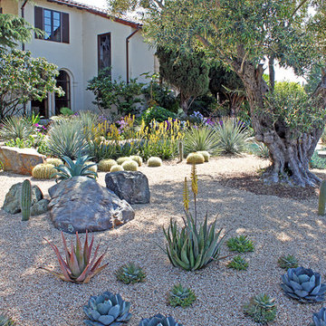 A Lawn to Xeriscape Garden Conversion