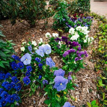 Montgomery - Design, Installation, Maintanence