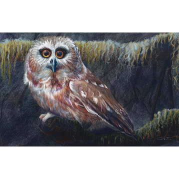 Saw-whet Owl Signed Fine Art Original, 8.75"x13.5"