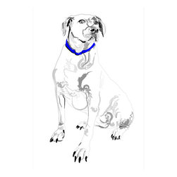 Graphic Art - Drawings And Illustrations