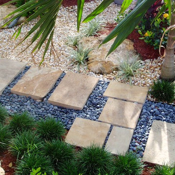 Stepping stone walkway in a tropical garden