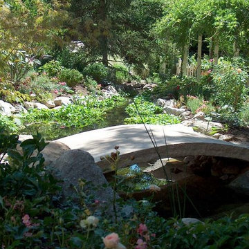Water Features & Pools