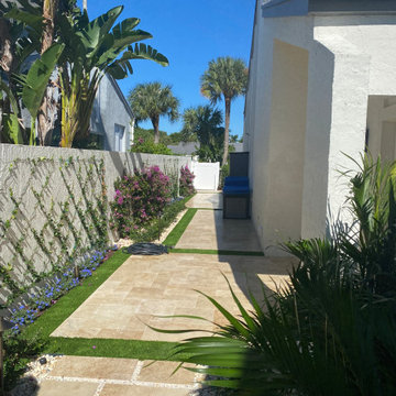 After - Espalier, Trained Vines on Wall