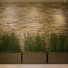 new landscape
