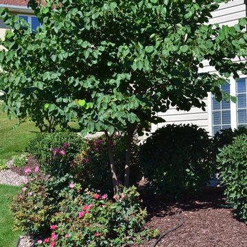 Bradley Residence