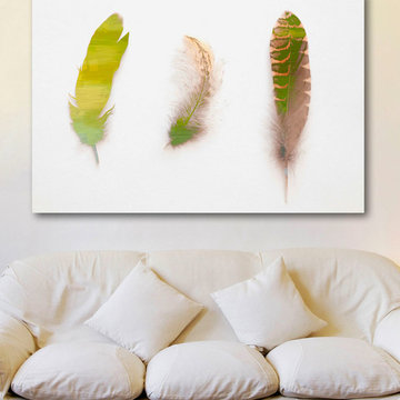 Feather Paints
