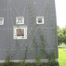 new house landscaping ideas