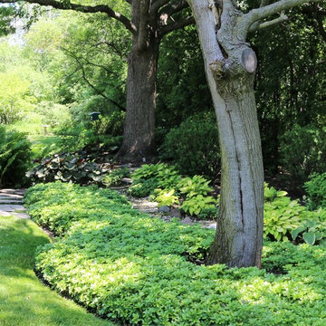 Beautiful Gardens and Accents