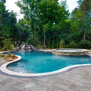 Naperville, IL Freeform Swimming Pool with Raised Hot Tub