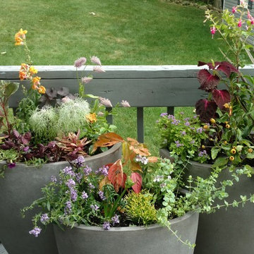 Fabulous Container Gardens