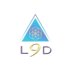 Lucid 9 Design