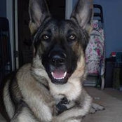 Beth Kemptner's photo