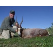 David's Taxidermy's photo