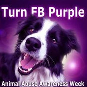Sharon Keech's photo