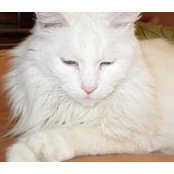 Beverlee Gillis's photo