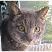 Judy Printz Branca's photo